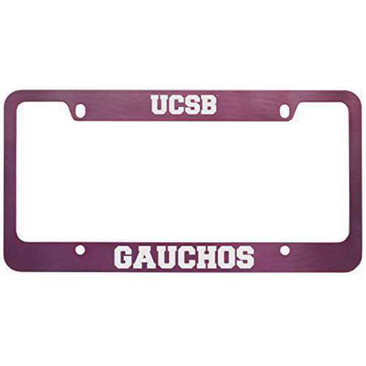 SM-31-PNK-UCSB-1-LRG: LXG SM/31 CAR FRAME PINK, UC Santa Barbara